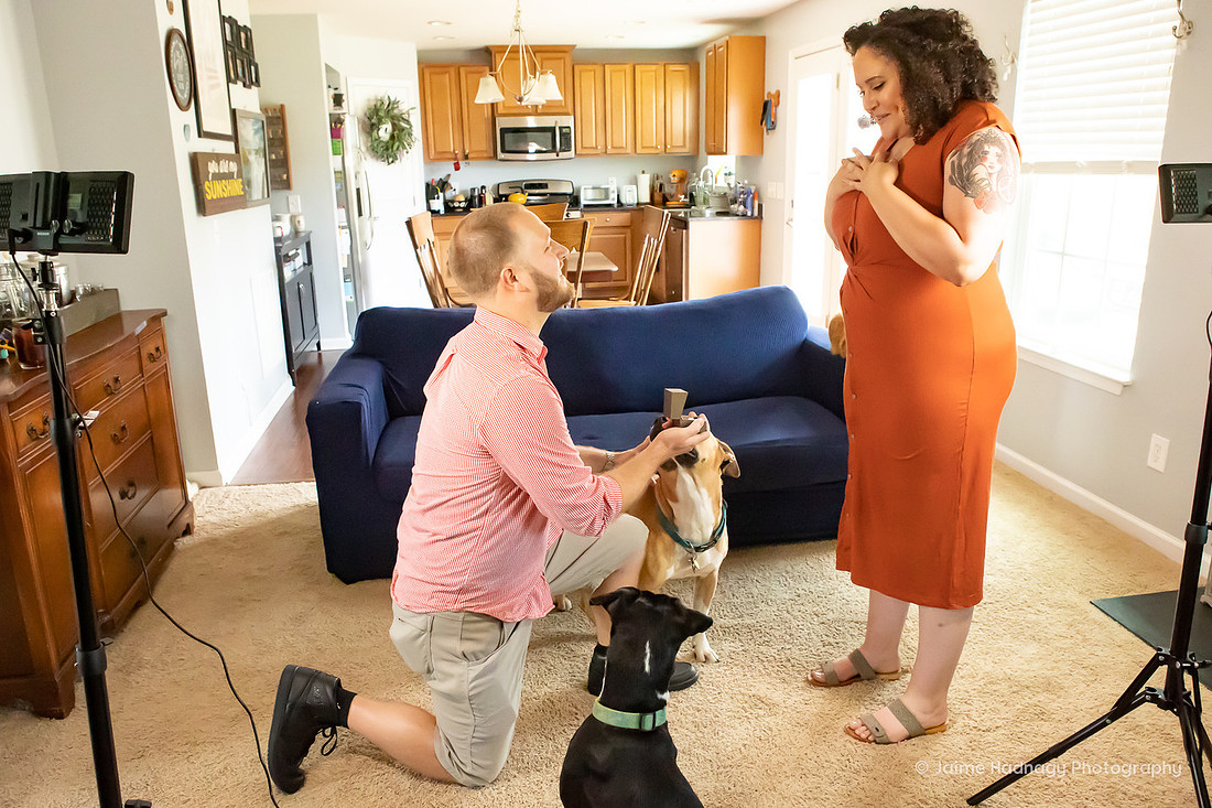 In Home Proposal Photography with Dogs | Engagement Photographer