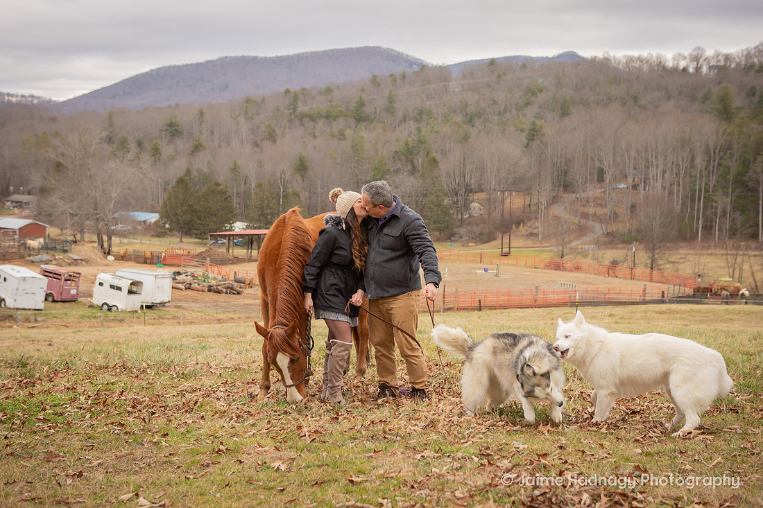 How to Propose with Your Dog there | Asheville Engagement Photographer