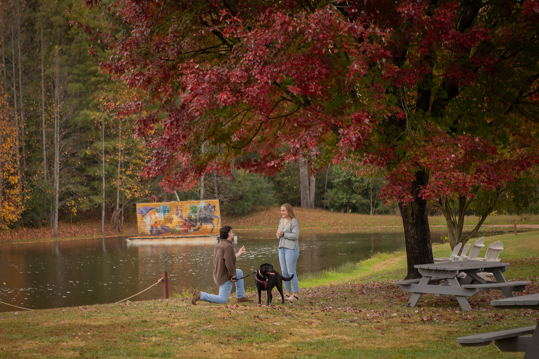 How to Propose with Your Dog there | Asheville Engagement Photographer