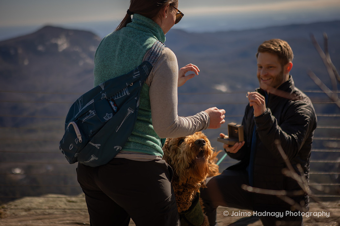 Dog Friendly Asheville Proposal Photographer