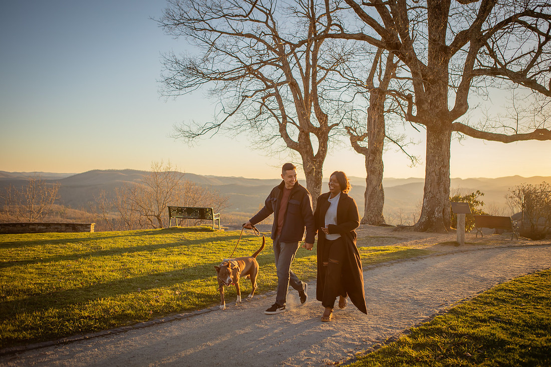 Dog Friendly Asheville Proposal Photographer