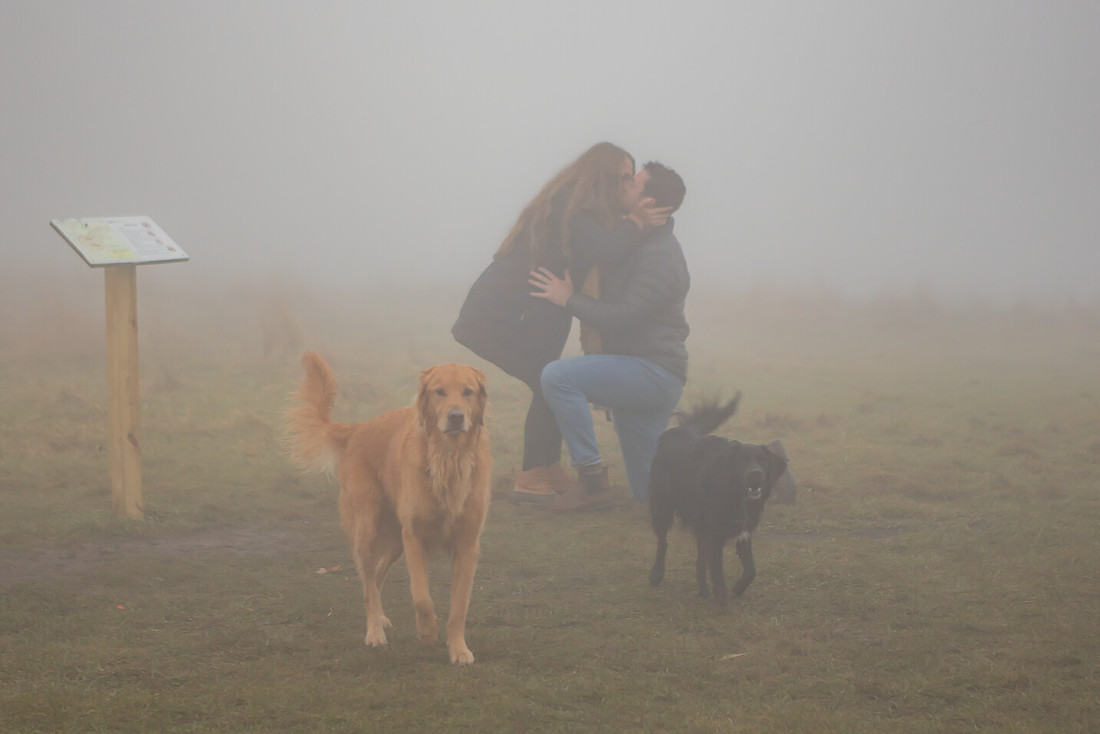 Hiking Proposal Photography with Dogs in the Rain