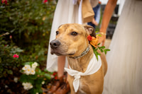 Elizabeth & Cory: Wedding at Horseshoe Farm in Hendersonville, NC