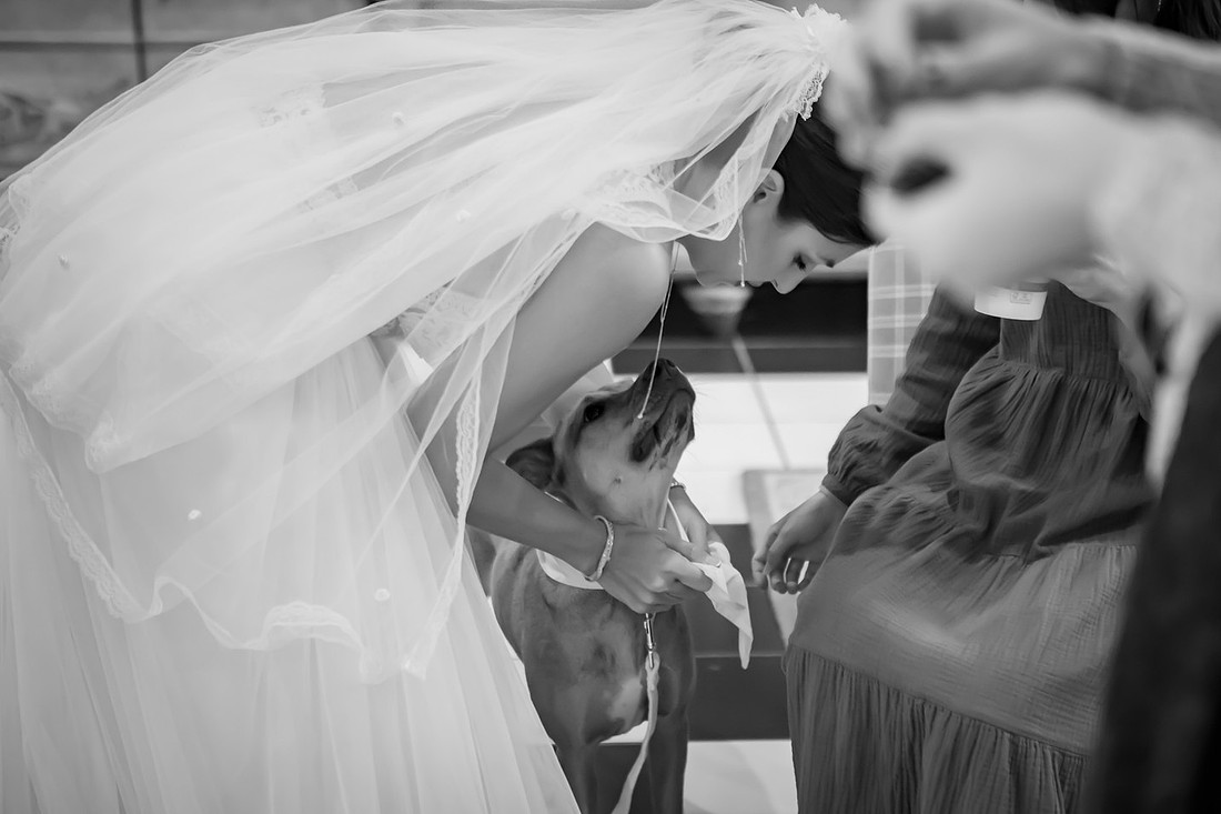 Wedding Day Photogapher Hendersonville NC