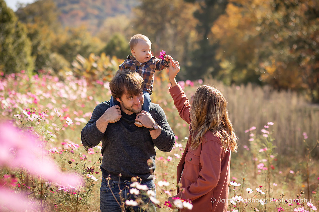Outdoor Family Photos in Asheville with Baby Photographer