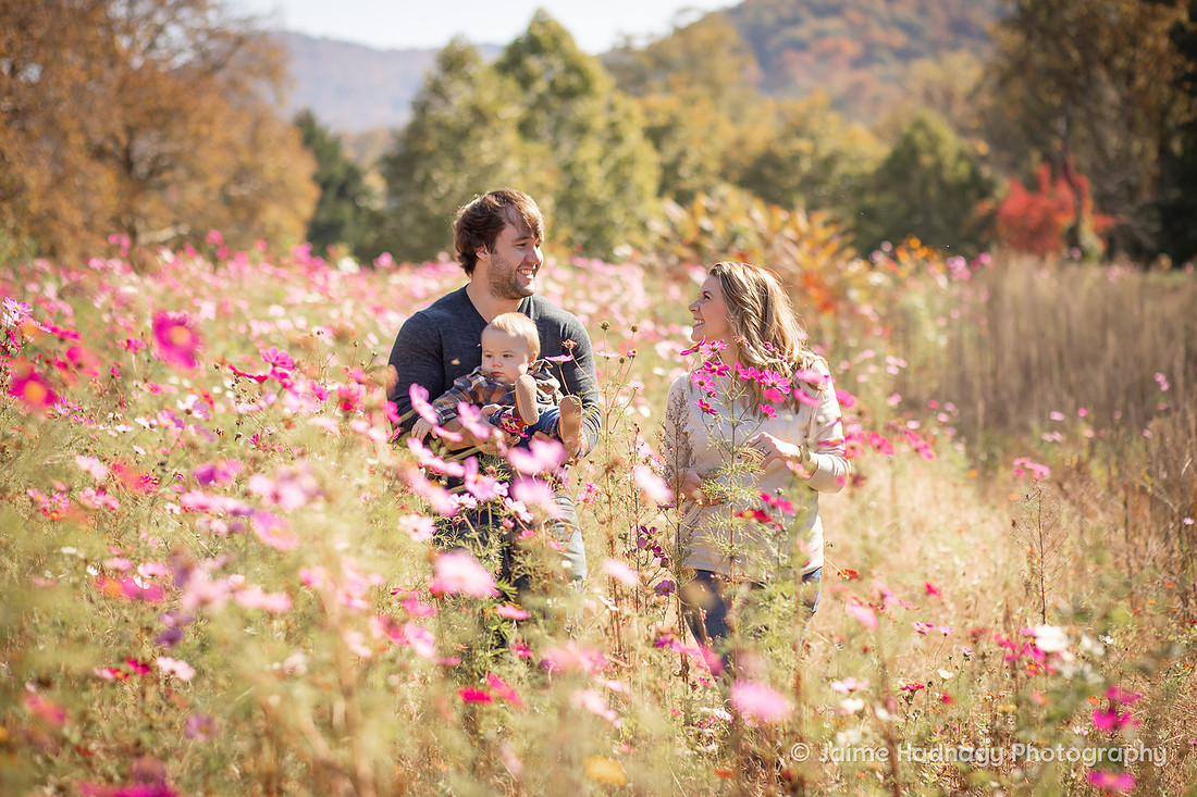 Outdoor Family Photos in Asheville with Baby Photographer