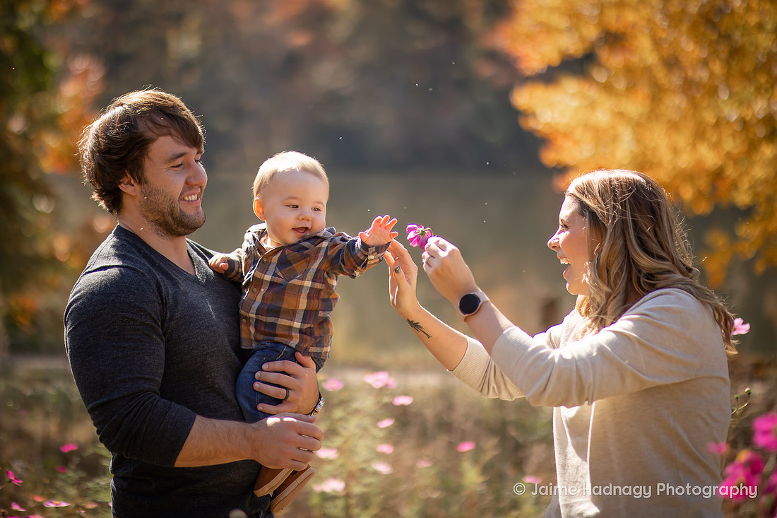 Family Photos with baby in Flower Field | Asheville Photographer