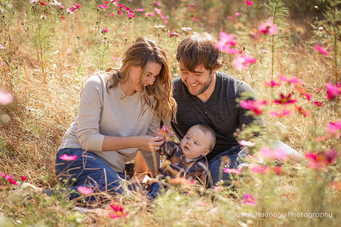 Family Photos with baby in Flower Field | Asheville Photographer