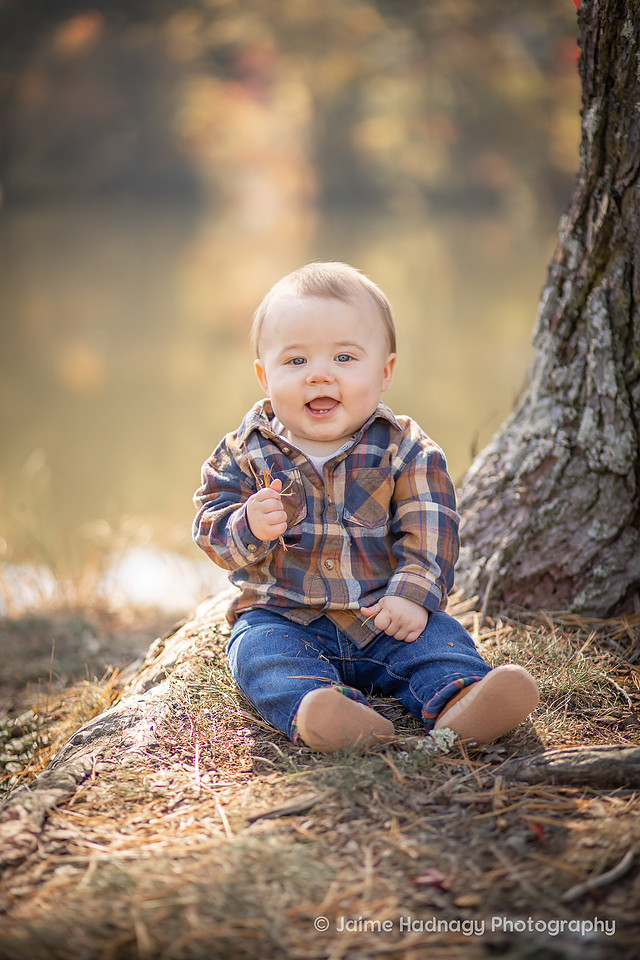 Family Photos with baby in Flower Field | Asheville Photographer