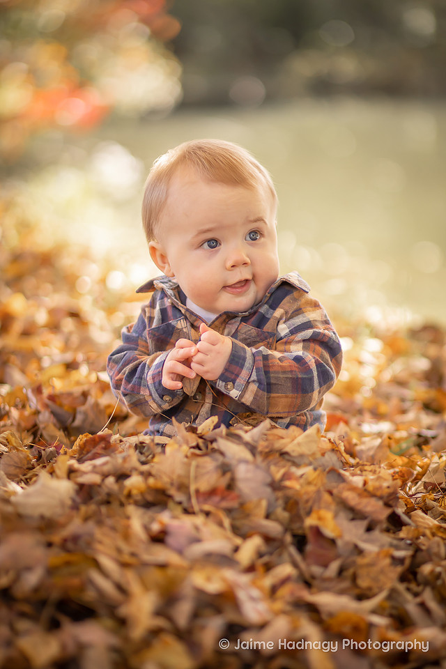 Fall Family Photos | Asheville Photographer