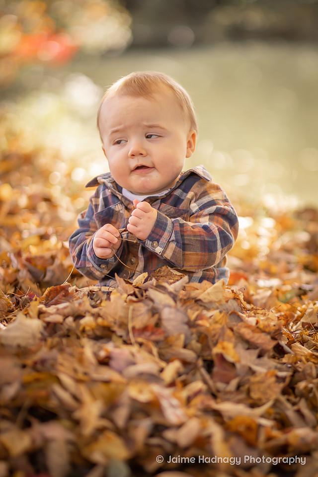 Fall Family Photos | Asheville Photographer