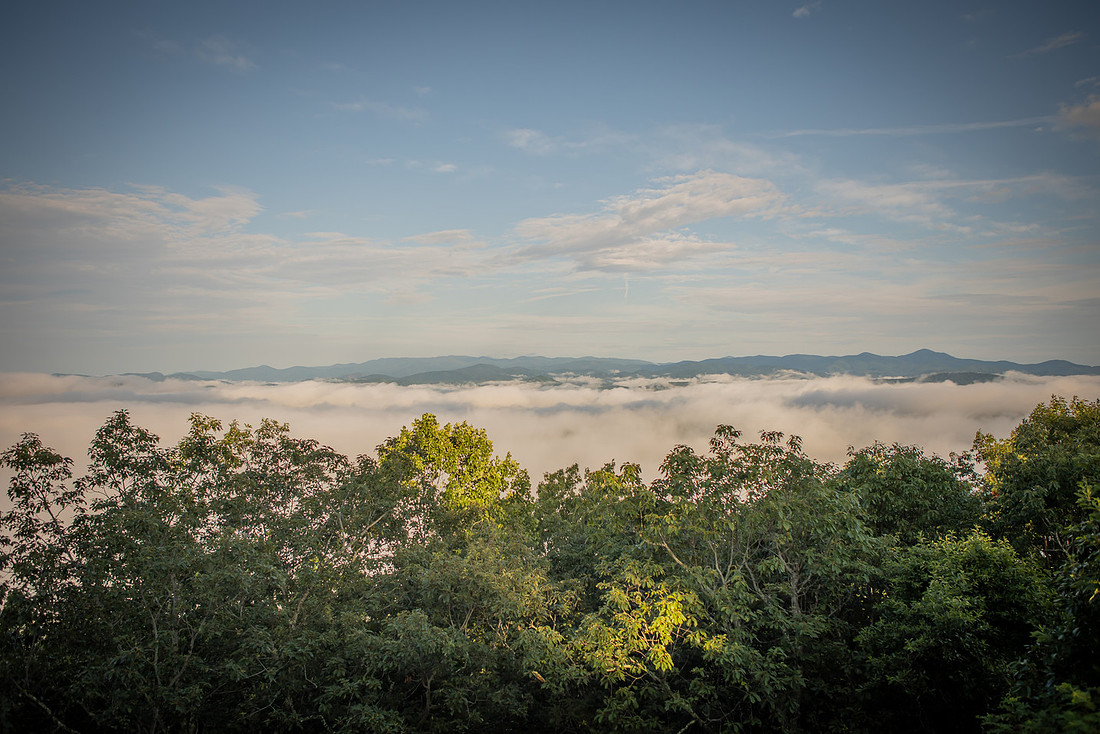 Morning Mountain Proposal at Jump Off Rock in Hendersonville NC | WNC Engagement Photographer