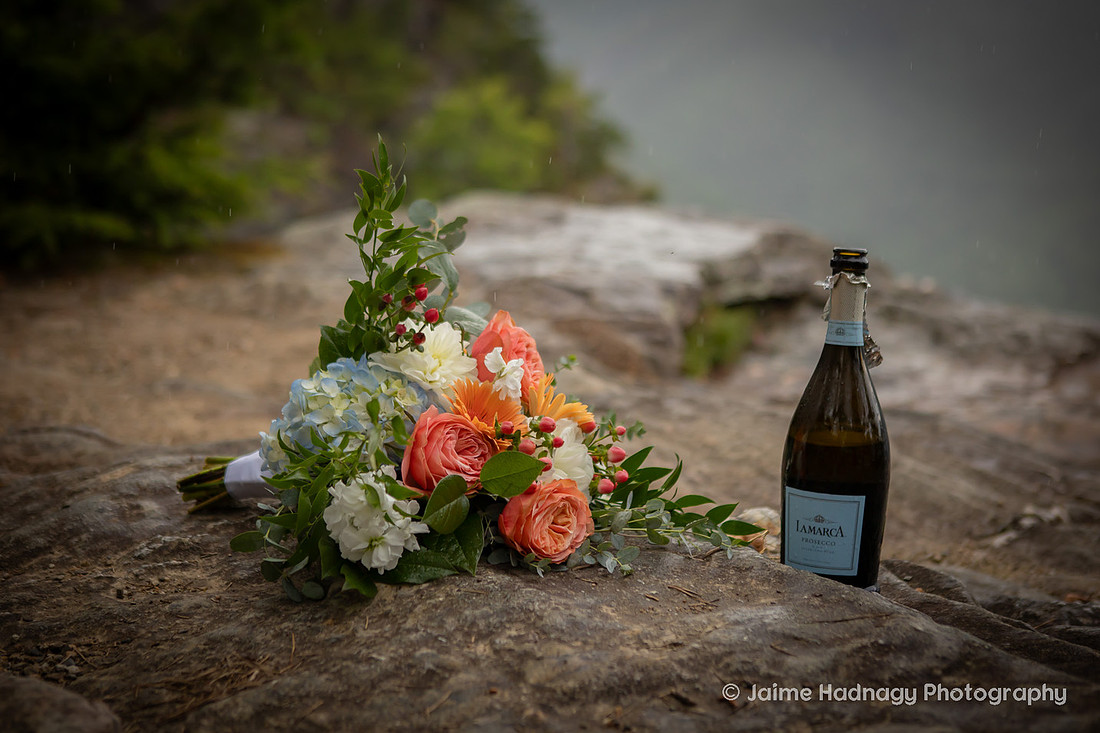Bride and Groom Portraits after Mountain Elopement at Wiseman's View in Western NC