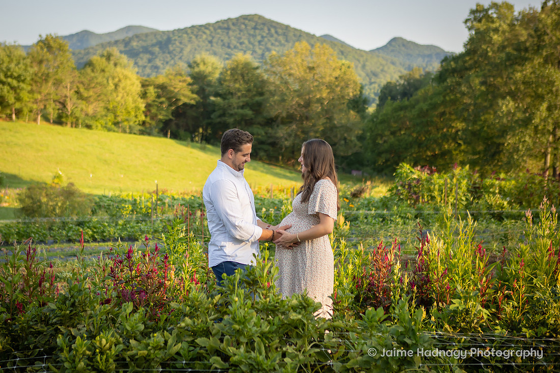 Asheville Maternity Photographer