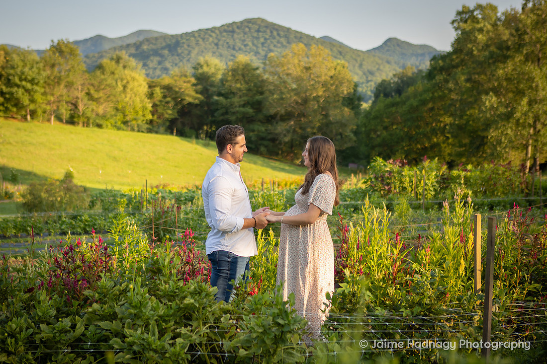 Flower Farm Maternity Photos | Asheville Pregnancy Photographer