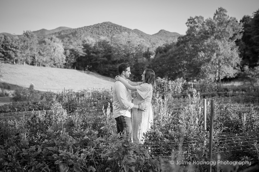 Flower Farm Maternity Photos | Asheville Pregnancy Photographer