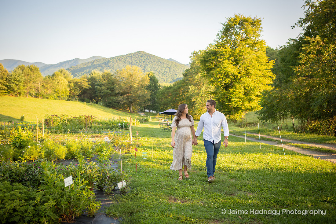 Flower Farm Maternity Photos | Asheville Pregnancy Photographer