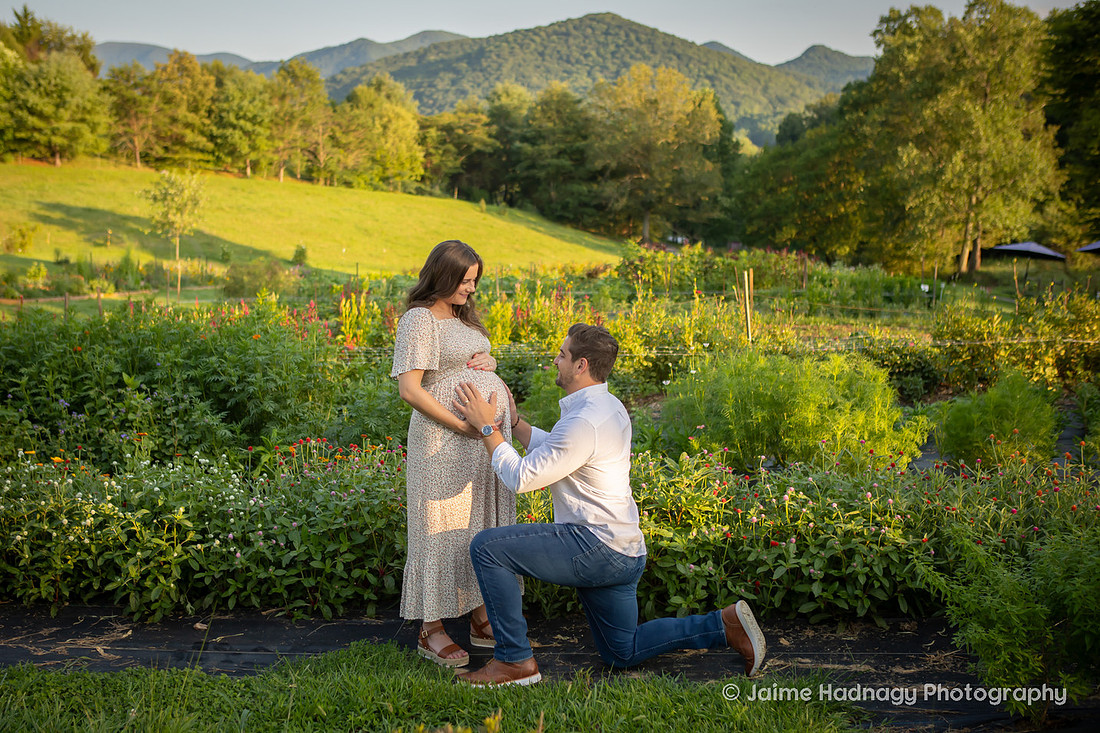 Flower Farm Maternity Photos | Asheville Pregnancy Photographer