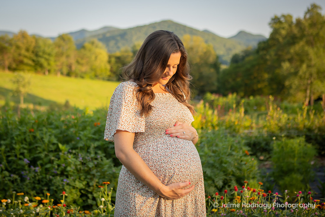 Flower Farm Maternity Photos | Asheville Pregnancy Photographer