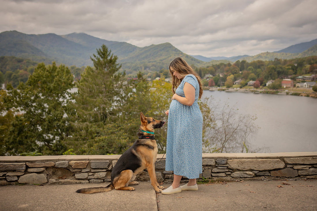 Maternity Photography with Dogs in Western NC