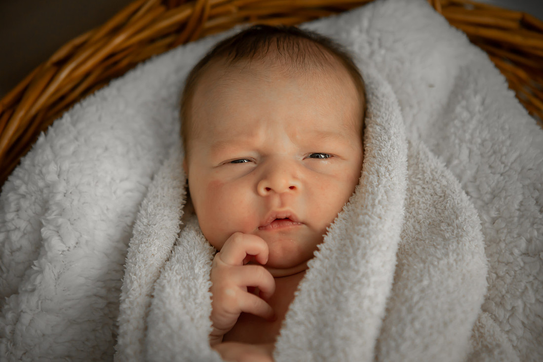 Newborn Baby Boy Photographer Western NC
