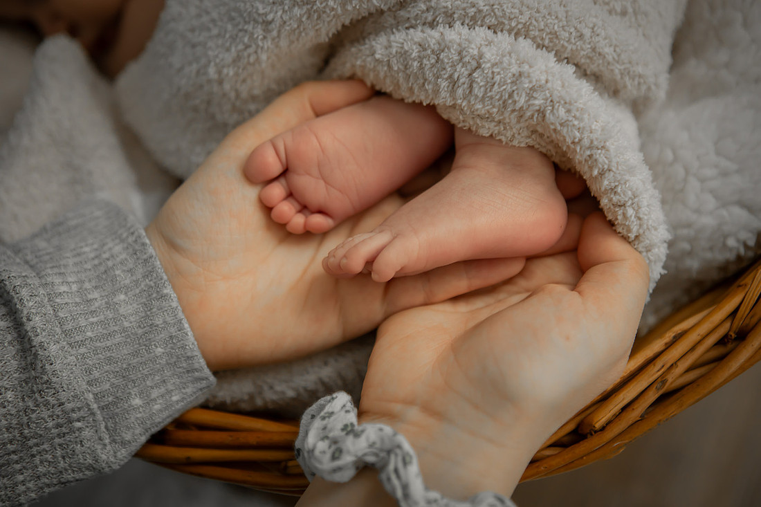 Newborn Baby Boy Photographer Western NC