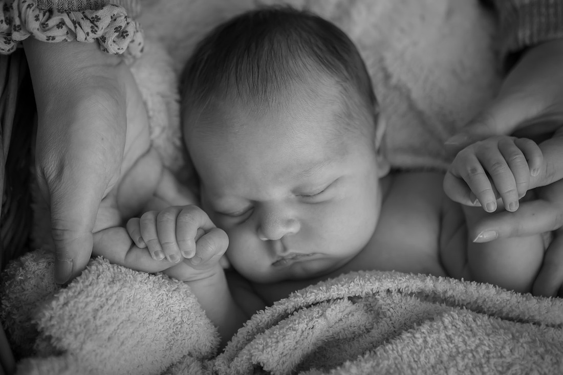 Newborn Baby Boy Photographer Western NC