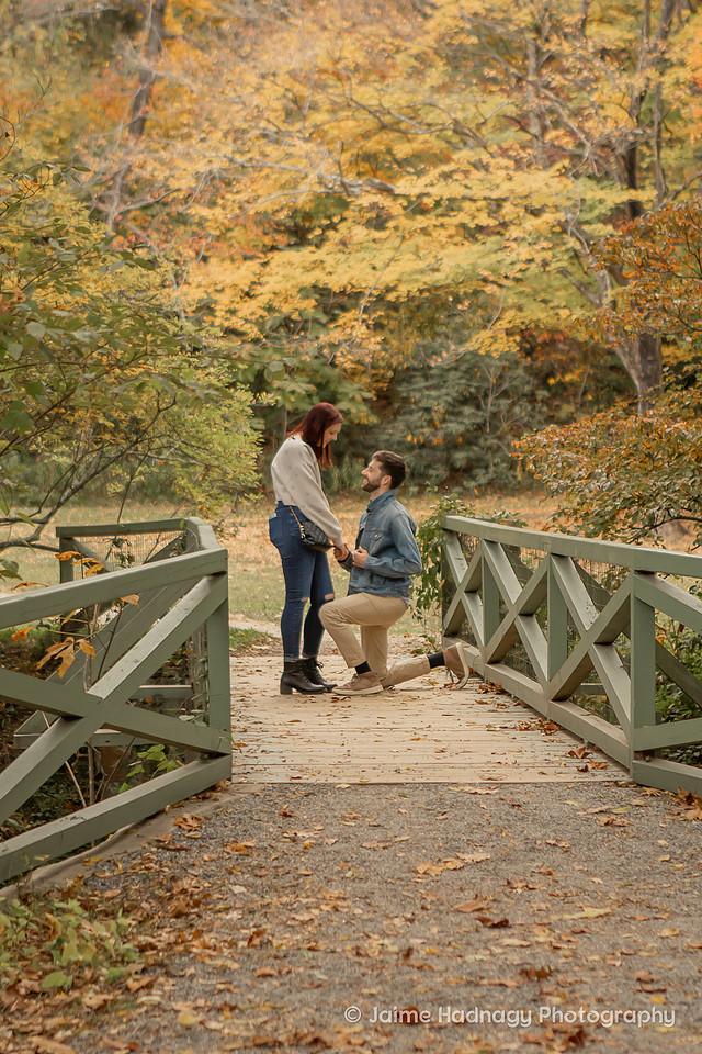 Fall Proposal at The Botanical Gardens | Asheville Engagement Photographer