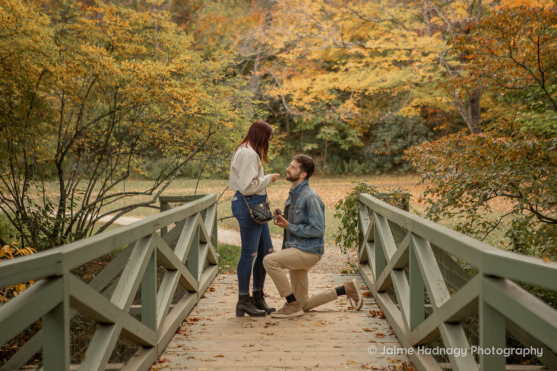 Fall Proposal at The Botanical Gardens | Asheville Engagement Photographer