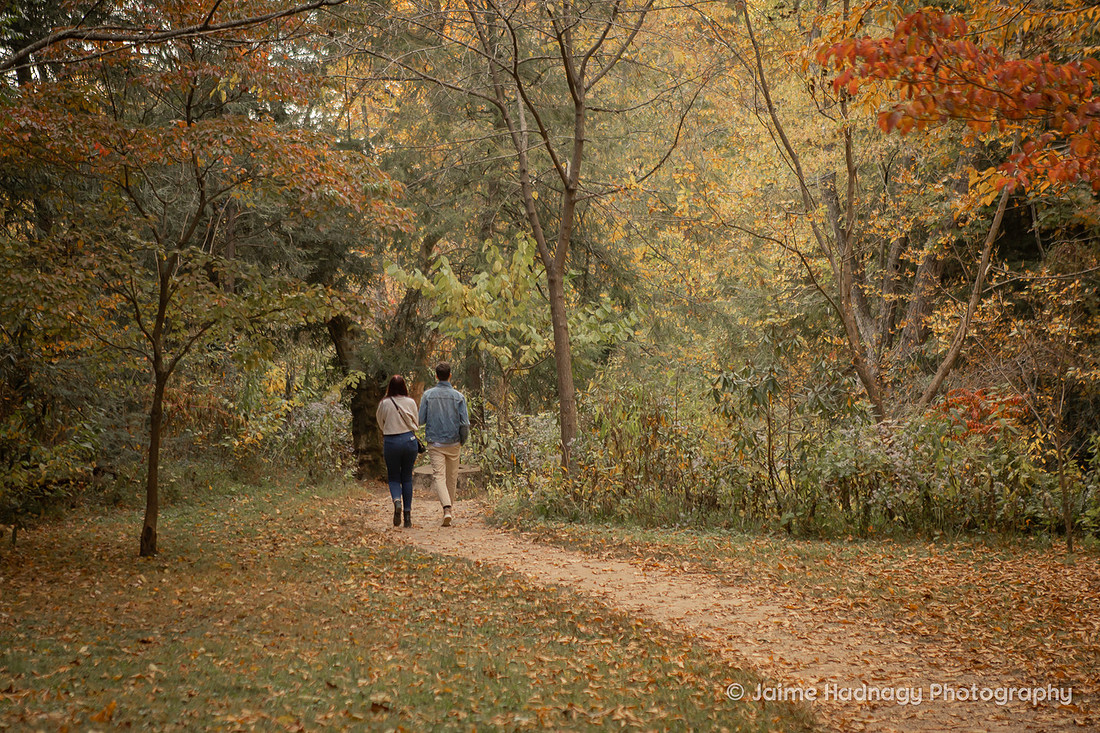 Surprise Proposal Photographer