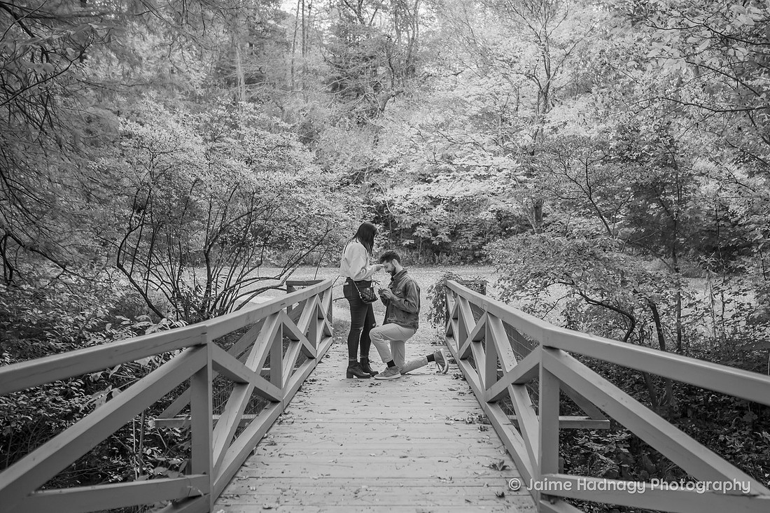 Fall Proposal at The Botanical Gardens | Asheville Engagement Photographer
