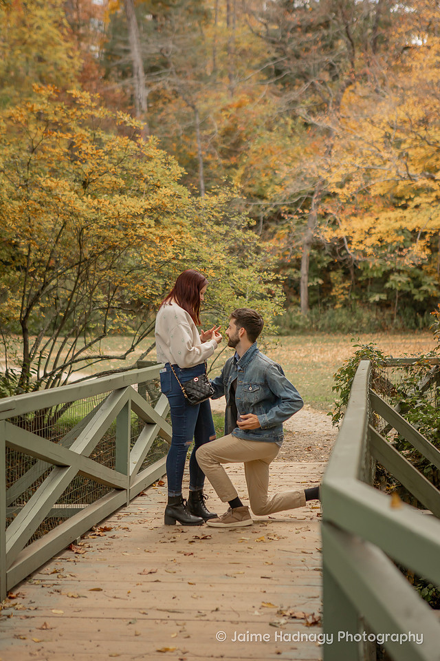 Fall Proposal at The Botanical Gardens | Asheville Engagement Photographer