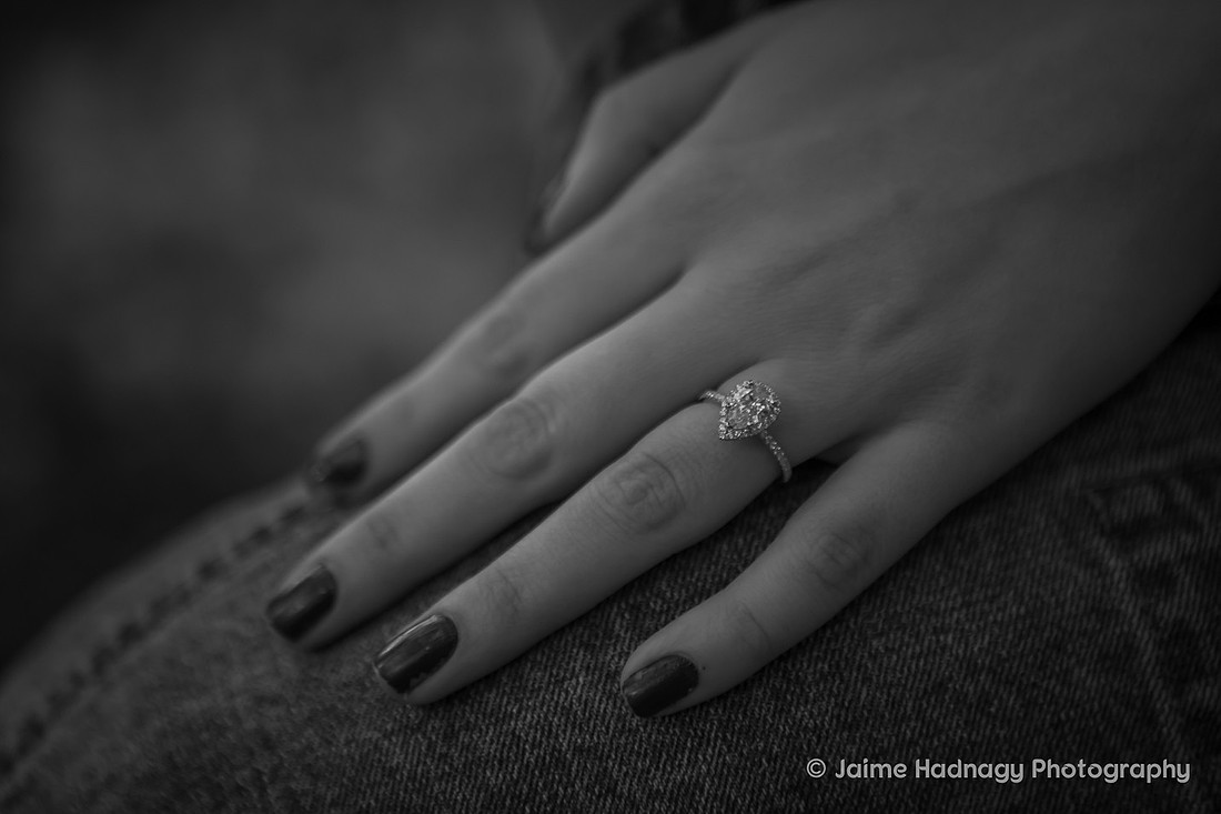 Engagement Photography at Botanical Gardens | Asheville Proposal Photographer