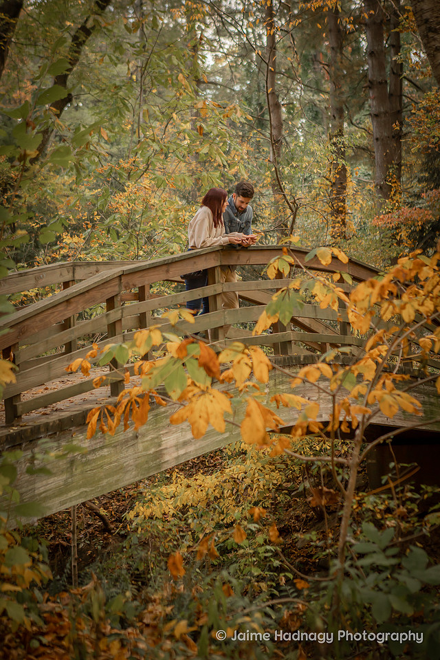 Engagement Photography at Botanical Gardens | Asheville Proposal Photographer