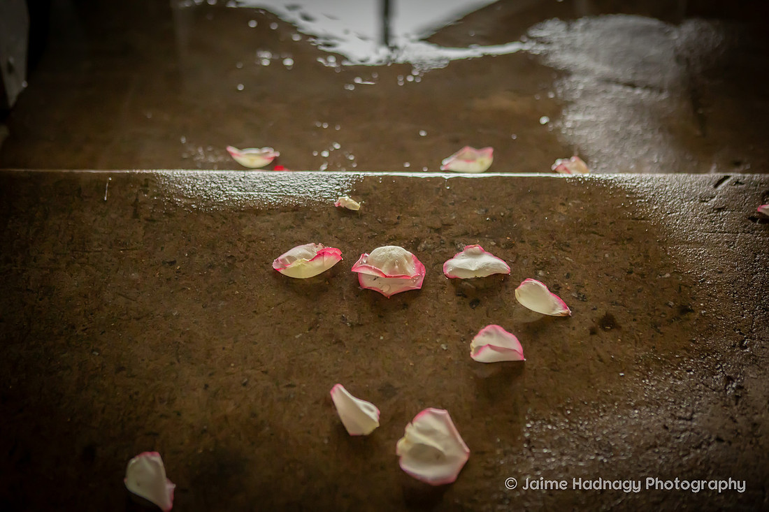 Wedding Ceremony Photography at Pretty Place|  Cleveland SC Photographer