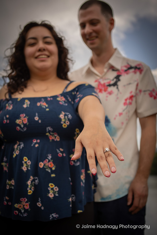 Proposal near Asheville in Black Mountain NC | Engagement Photographer