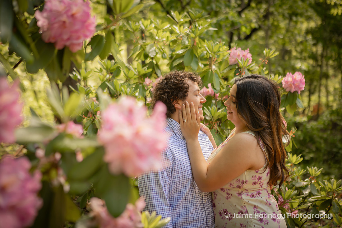 Asheville Engagement Session at the Arboretum | Proposal Photographer
