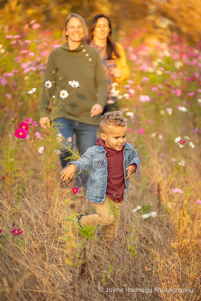 Family Photography in Flower Field | Asheville Photographer