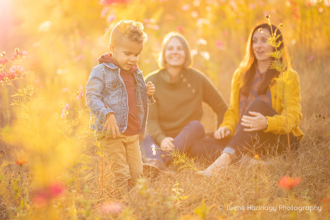 Family Photography in Flower Field | Asheville Photographer