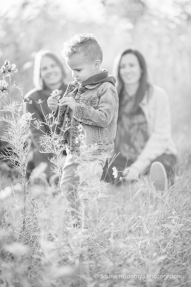 Family Photography in Flower Field | Asheville Photographer