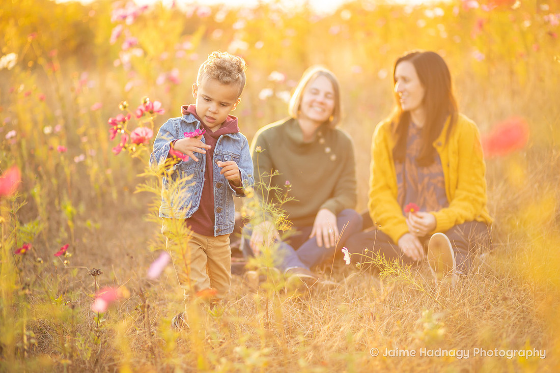 Beautiful Family Photos in Flower Field | Asheville Photographer Lifestyle