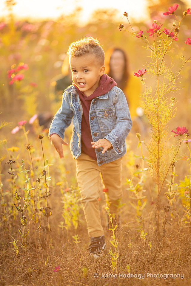 Beautiful Family Photos in Flower Field | Asheville Photographer Lifestyle