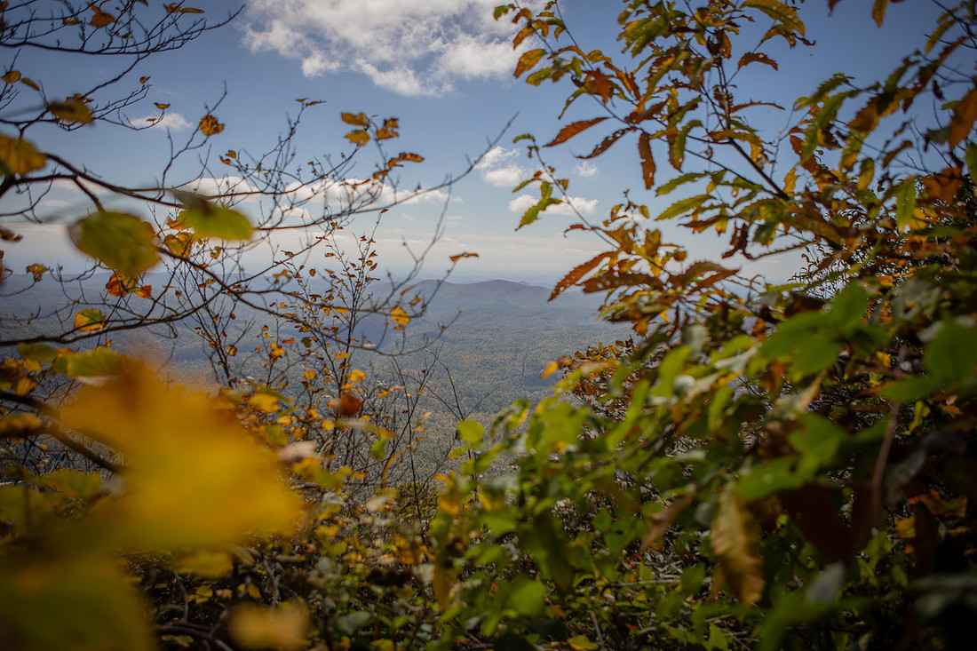 Hiking Proposal Photos at Whiteside Mountain in Fall in Highlands NC