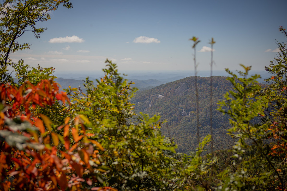 Hiking Proposal Photos at Whiteside Mountain in Fall in Highlands NC