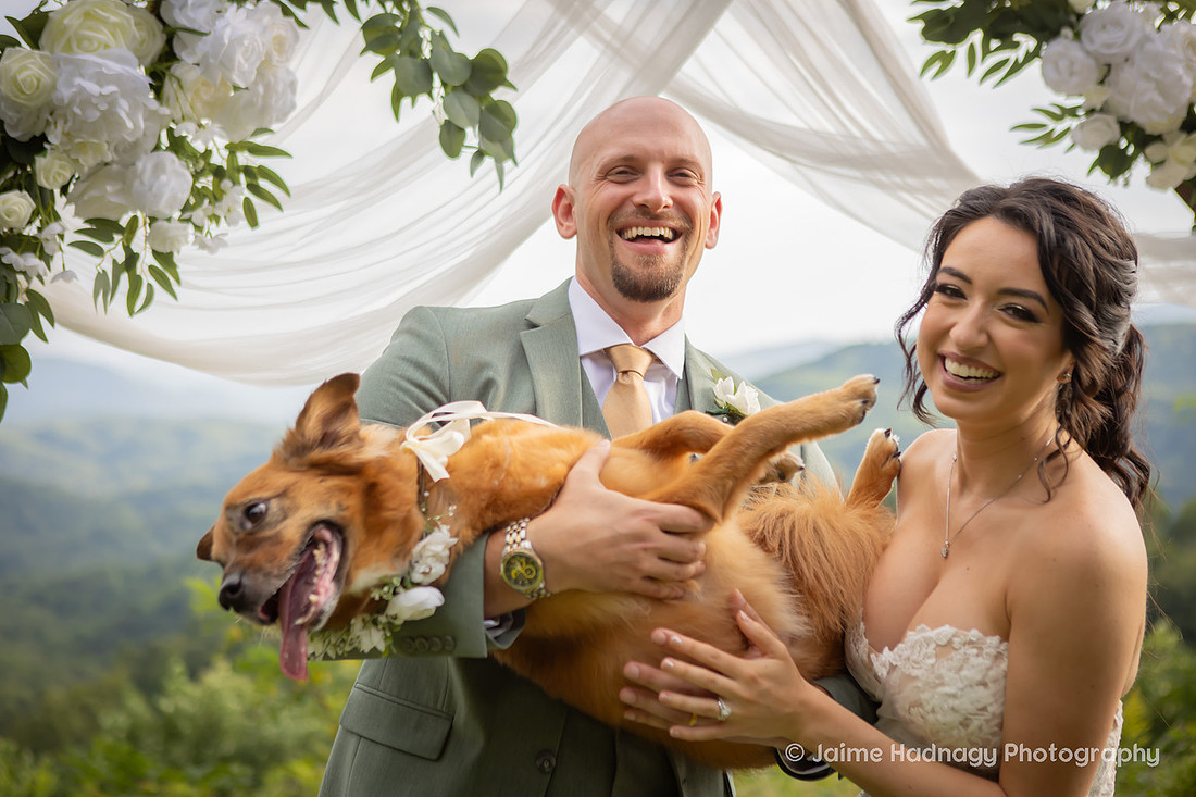 Wedding Photos with Dog and Family | Asheville Elopement Photographer