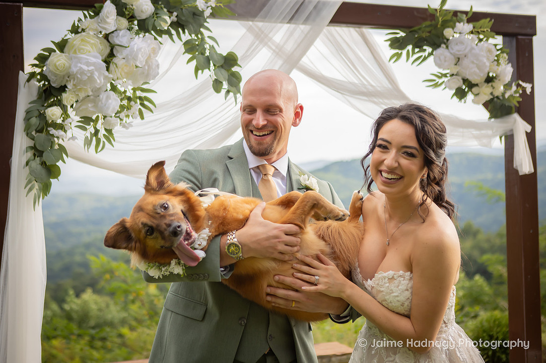 Wedding Photos with Dog and Family | Asheville Elopement Photographer