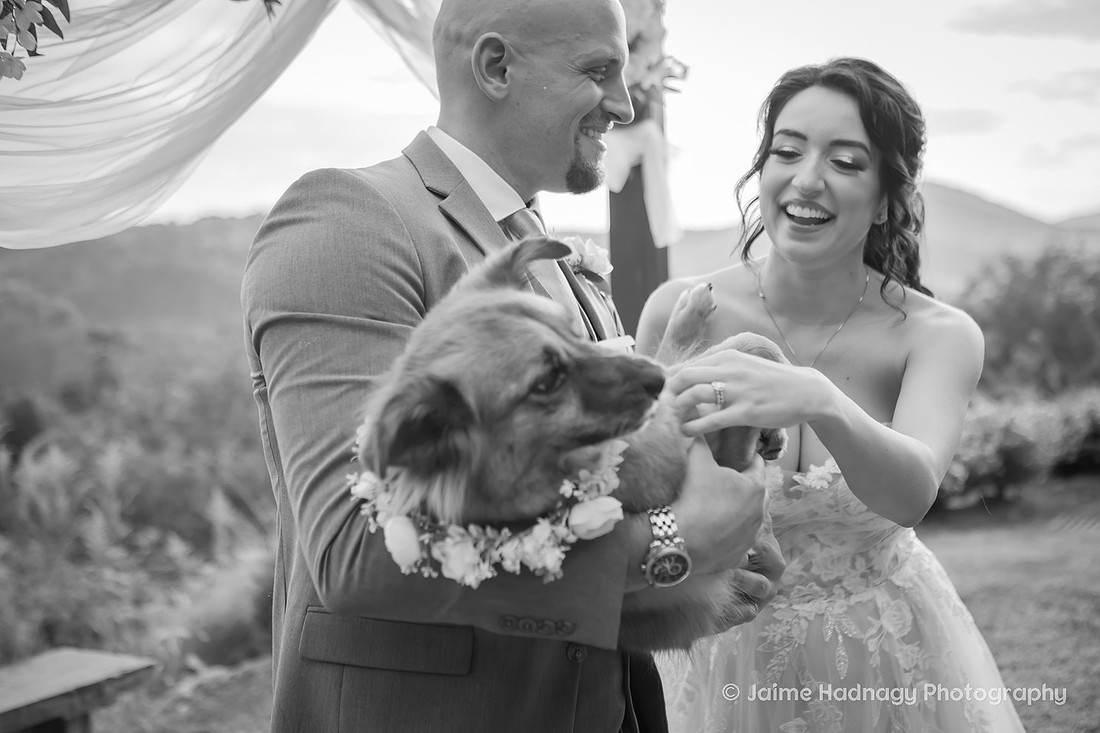 Black and White Photo of Bride and Groom with Dog on Wedding Day