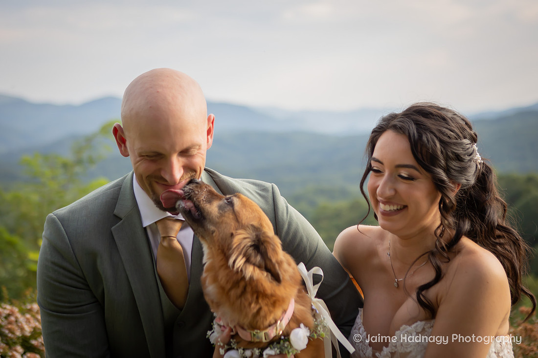 Wedding Photos with Dog and Family | Asheville Elopement Photographer