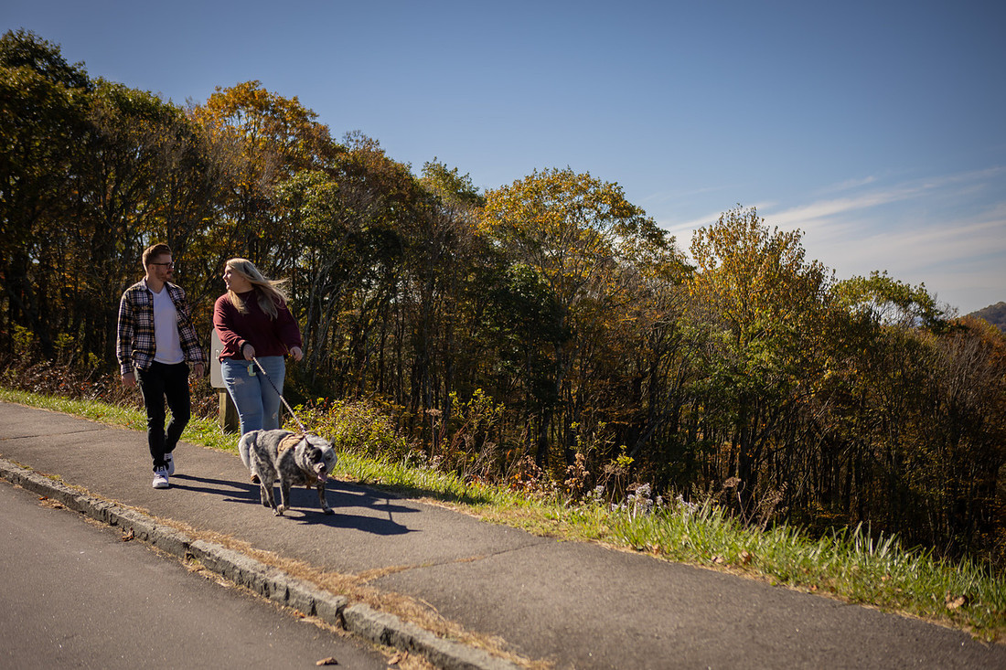 Mountain View Proposal with Dog | Asheville Photographer