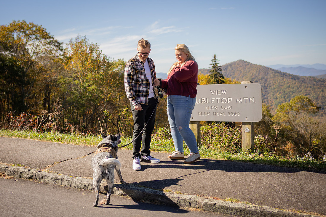 Mountain View Proposal with Dog | Asheville Photographer